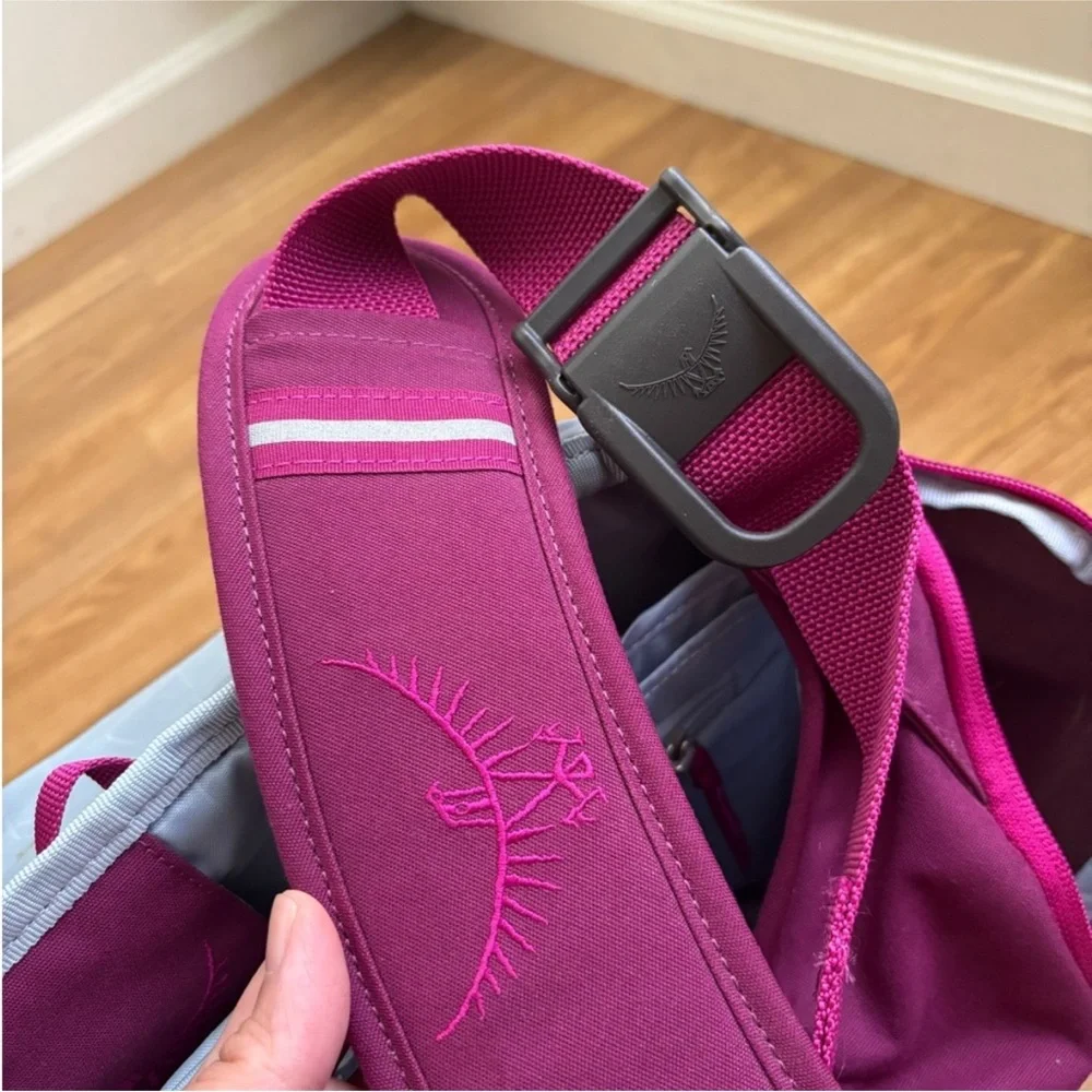 [LIKE NEW] Osprey Flapjill Courier 17L Messenger Bag - Picture 9 of 11